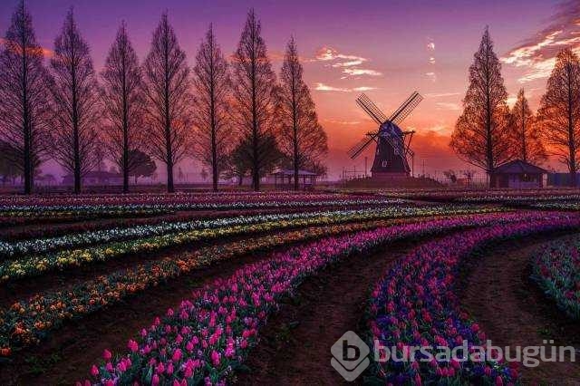 Günün en çok paylaşılan fotoğrafları