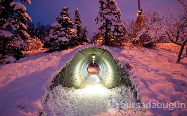 Günün en çok paylaşılan fotoğrafları