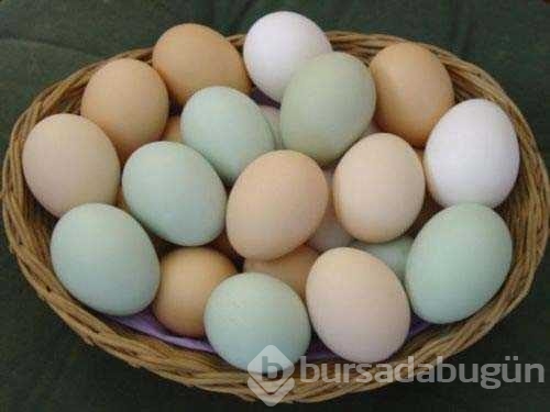Yumurta kabuğunun mucizevi faydaları
