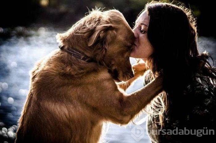 Açıklama gerekmeyen harika fotoğraflar