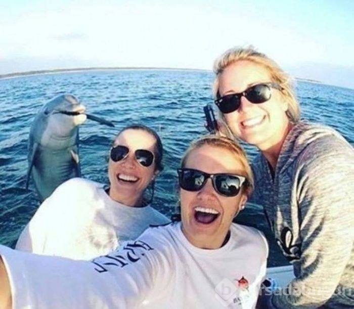 Açıklama gerekmeyen harika fotoğraflar