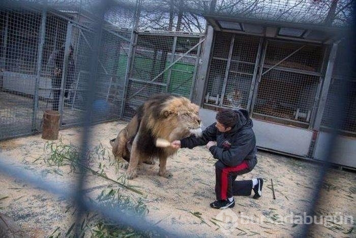 Açıklama gerekmeyen harika fotoğraflar
