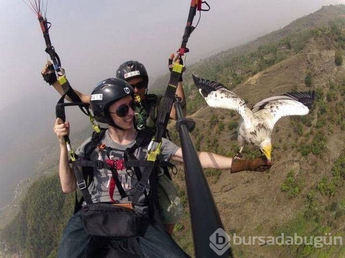 Açıklama gerekmeyen harika fotoğraflar
