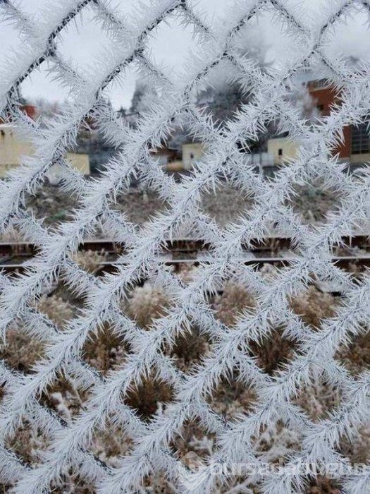 Açıklama gerekmeyen harika fotoğraflar
