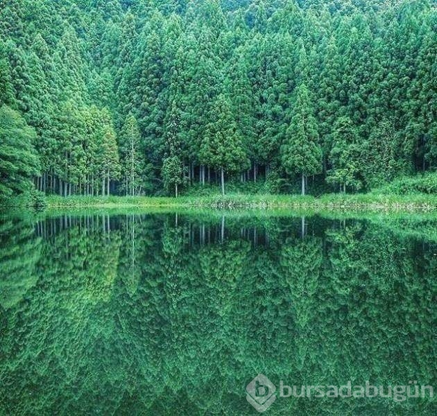 Açıklama gerekmeyen harika fotoğraflar