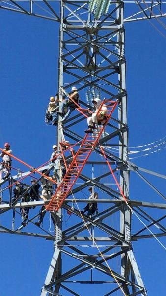 İnternet aleminin ilginç kareleri