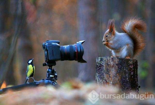Günün en çok paylaşılan fotoğrafları