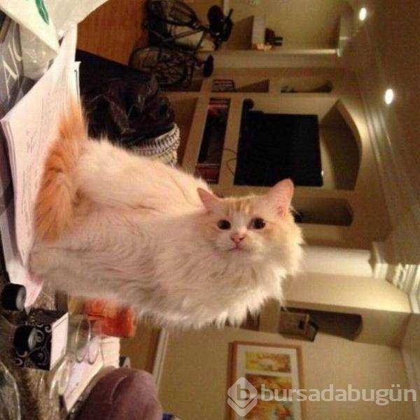 Günün en çok paylaşılan fotoğrafları