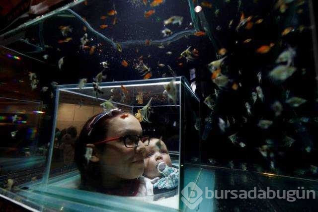 Günün en çok paylaşılan fotoğrafları