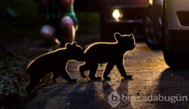 Günün en çok paylaşılan fotoğrafları