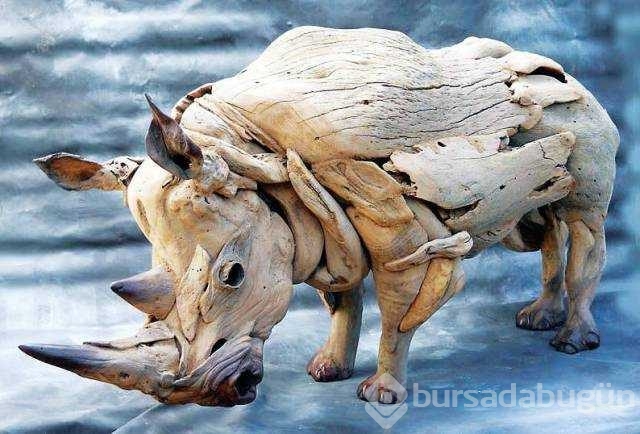 Günün en çok paylaşılan fotoğrafları