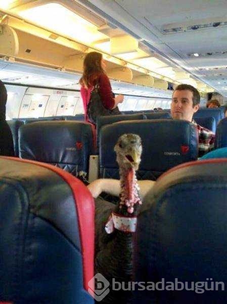 Günün en çok paylaşılan fotoğrafları