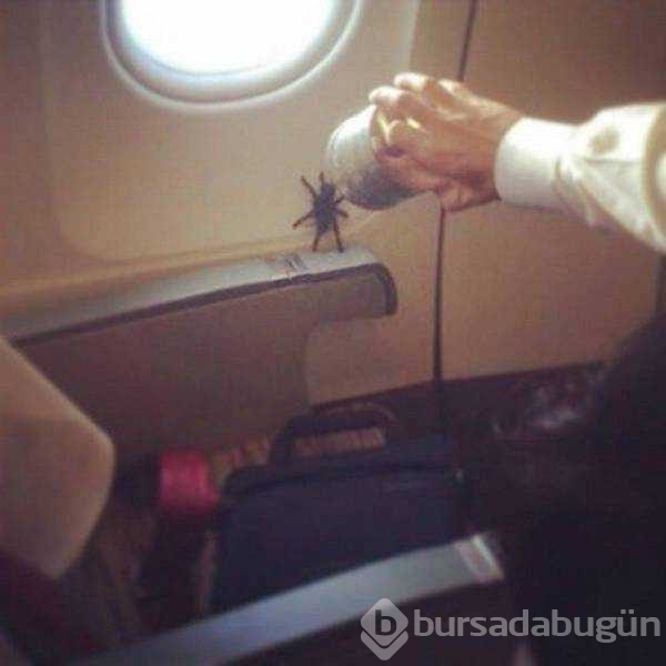 Günün en çok paylaşılan fotoğrafları