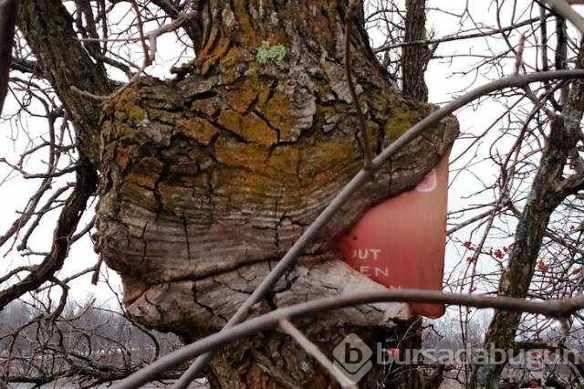 Günün en çok paylaşılan fotoğrafları
