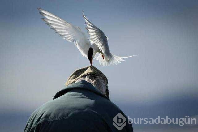 Günün en çok paylaşılan fotoğrafları