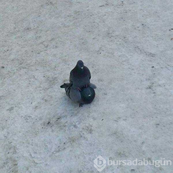 Günün en çok paylaşılan fotoğrafları