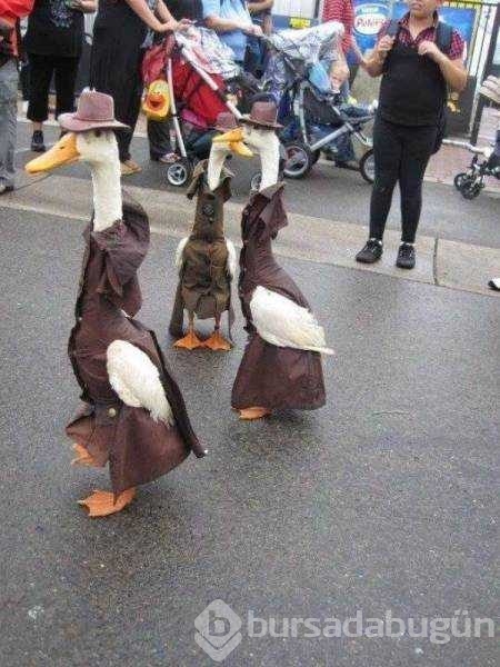 Günün en çok paylaşılan fotoğrafları