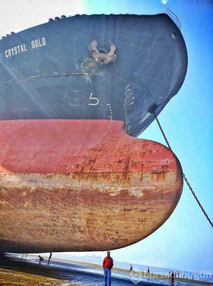 Günün en çok paylaşılan fotoğrafları