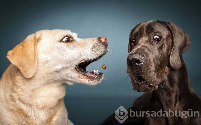 Günün en çok paylaşılan fotoğrafları