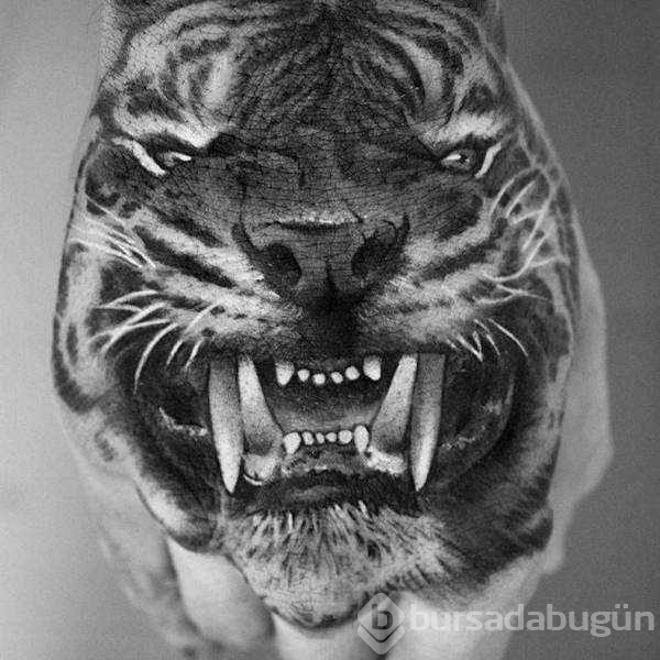 Günün en çok paylaşılan fotoğrafları