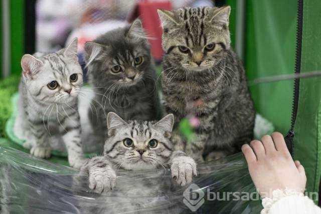 Günün en çok paylaşılan fotoğrafları