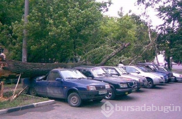 'Yok artık' dedirten kazalar