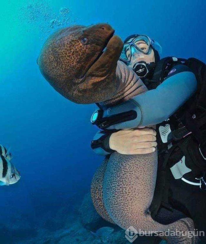 Günün en çok paylaşılan fotoğrafları
