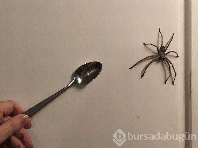 Günün en çok paylaşılan fotoğrafları