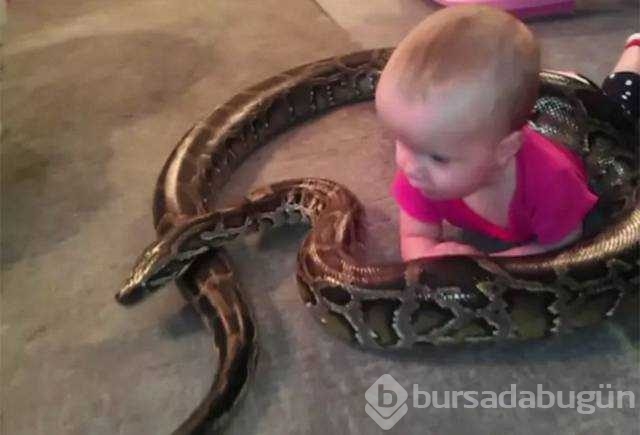Günün en çok paylaşılan fotoğrafları