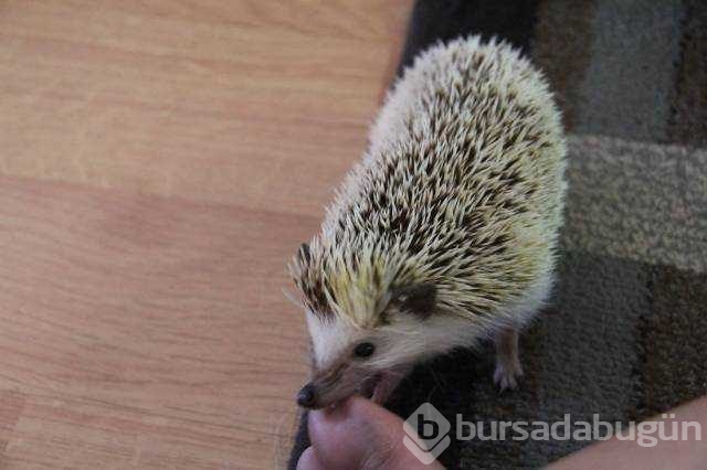 Günün en çok paylaşılan fotoğrafları