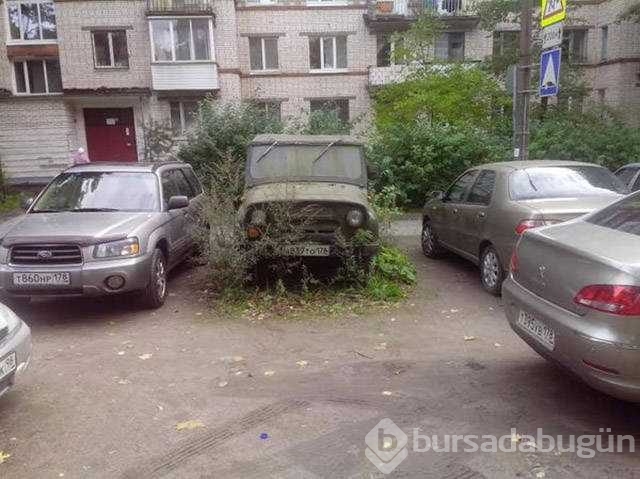 Günün en çok paylaşılan fotoğrafları