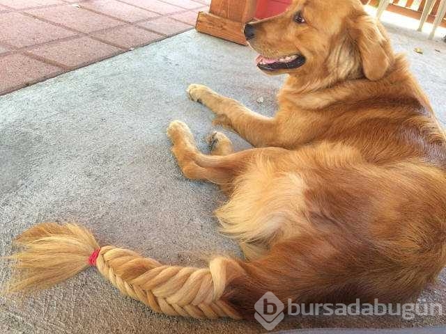 Günün en çok paylaşılan fotoğrafları