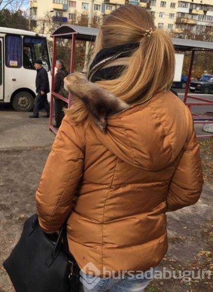 Günün en çok paylaşılan fotoğrafları