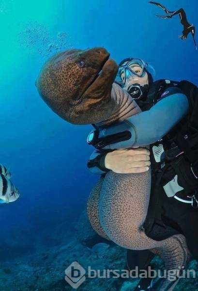 Günün en çok paylaşılan fotoğrafları