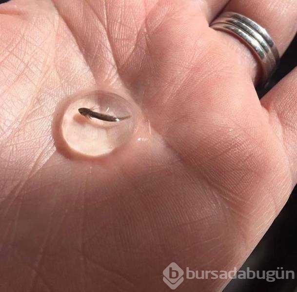 Günün en çok paylaşılan fotoğrafları