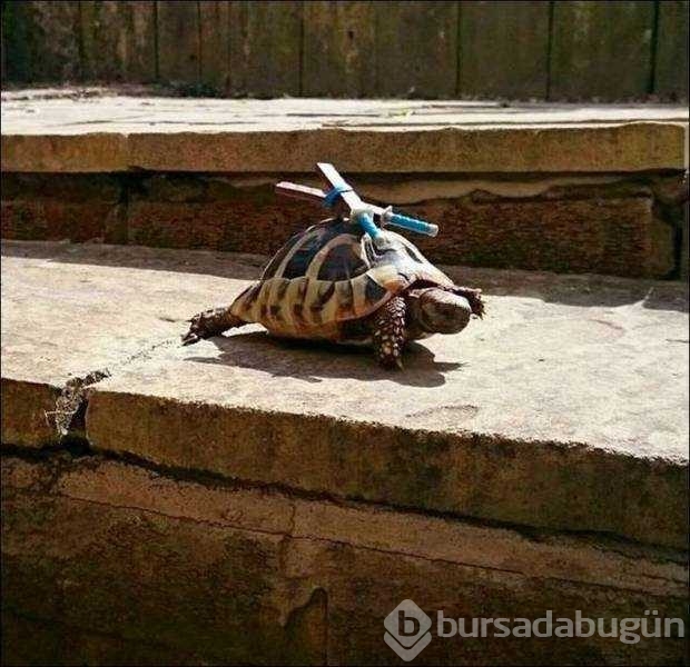Günün en çok paylaşılan fotoğrafları