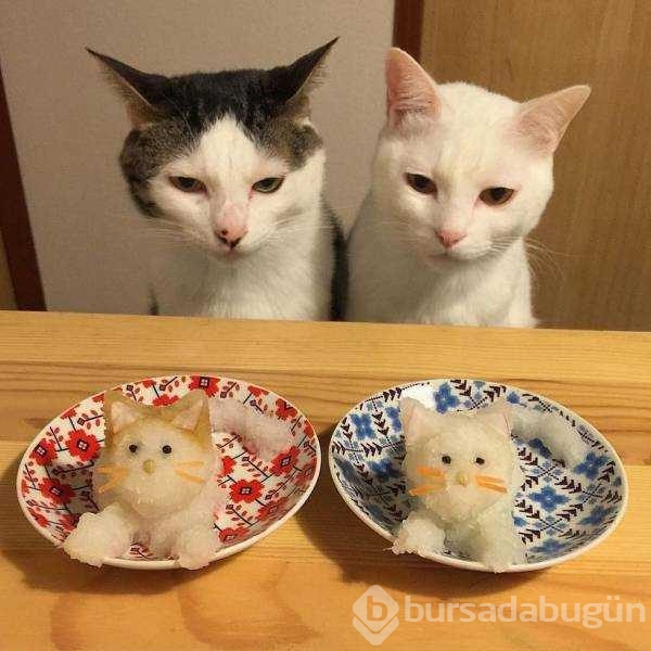Günün en çok paylaşılan fotoğrafları