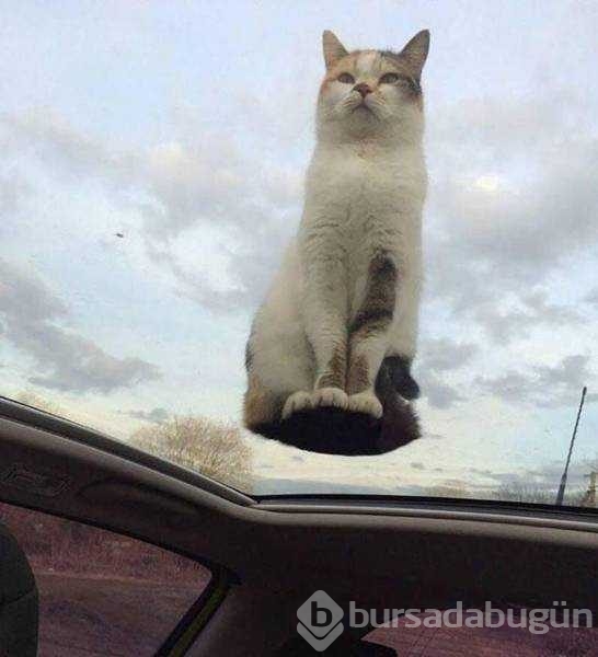 Günün en çok paylaşılan fotoğrafları