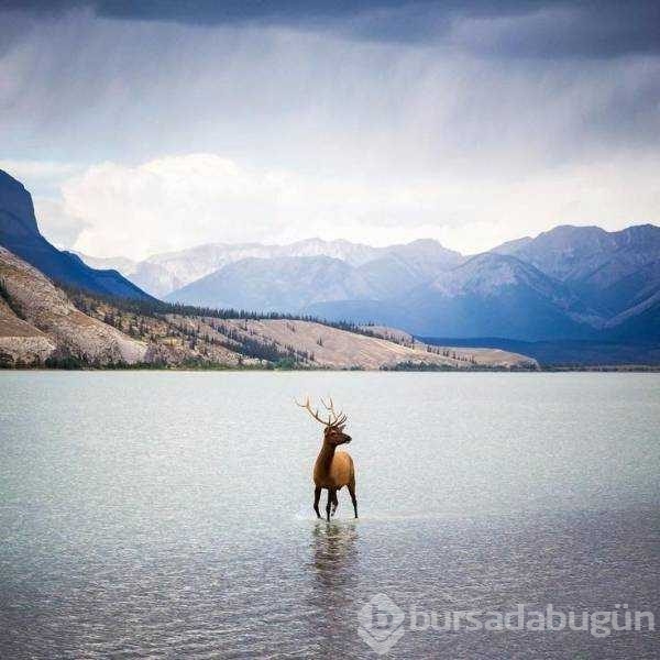 Günün en çok paylaşılan fotoğrafları