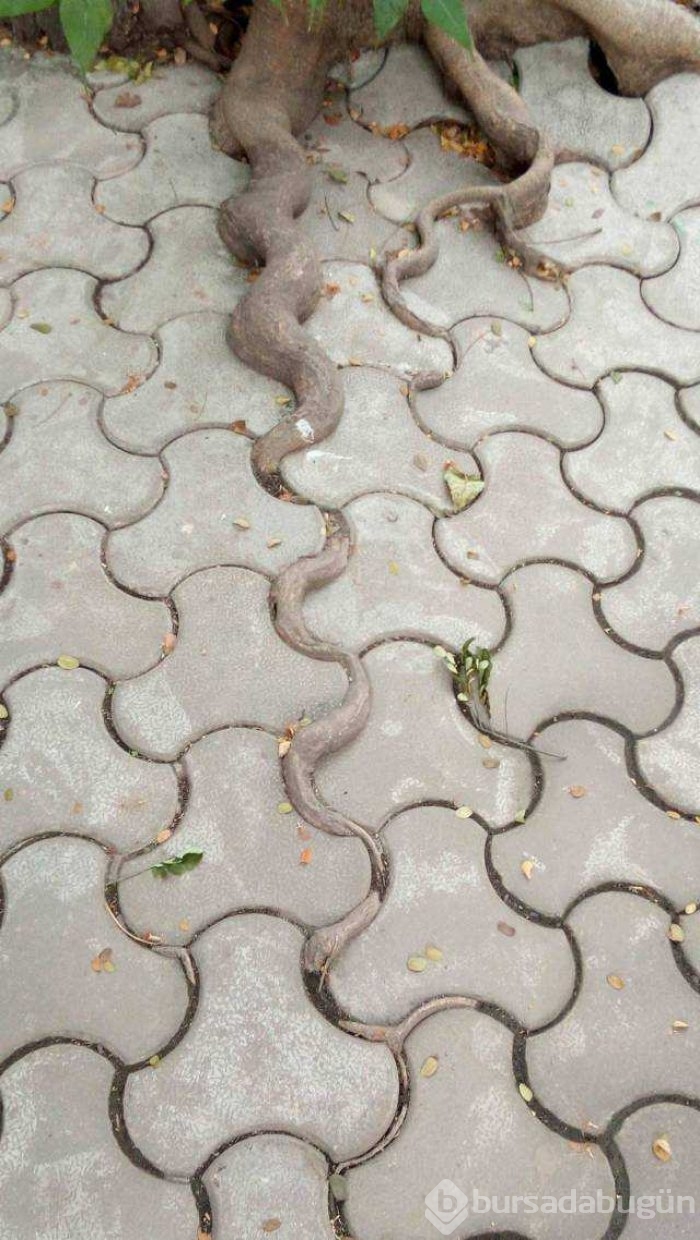 Günün en çok paylaşılan fotoğrafları