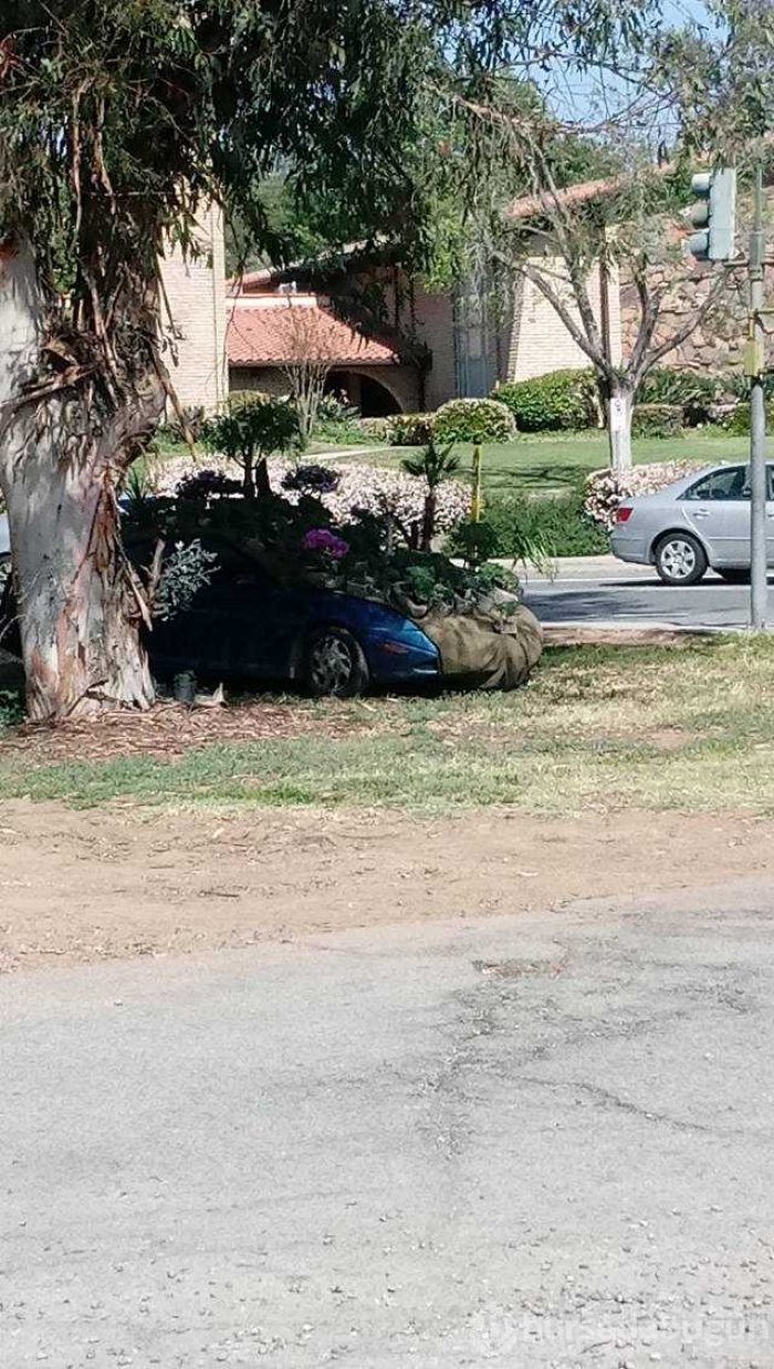 Günün en çok paylaşılan fotoğrafları