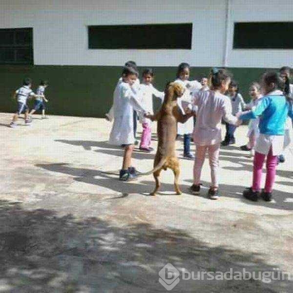 Günün en çok paylaşılan fotoğrafları
