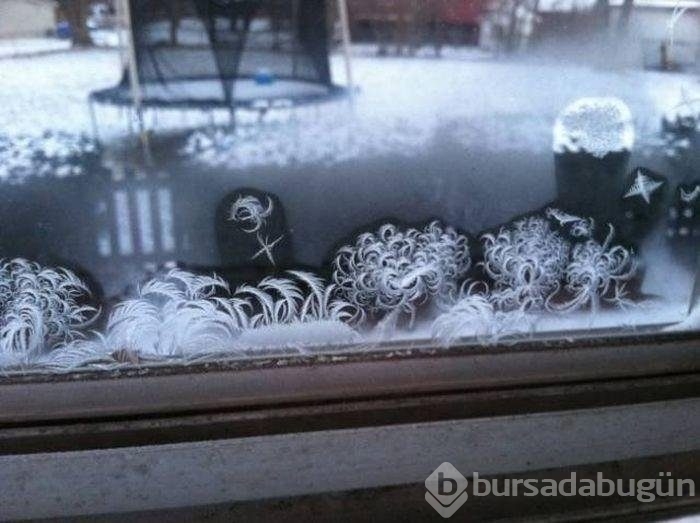Görenleri şaşırtan kareler