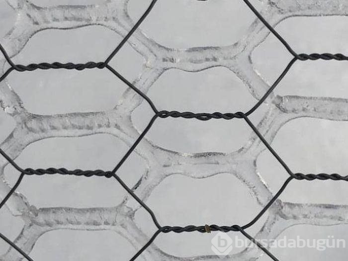 Görenleri şaşırtan kareler