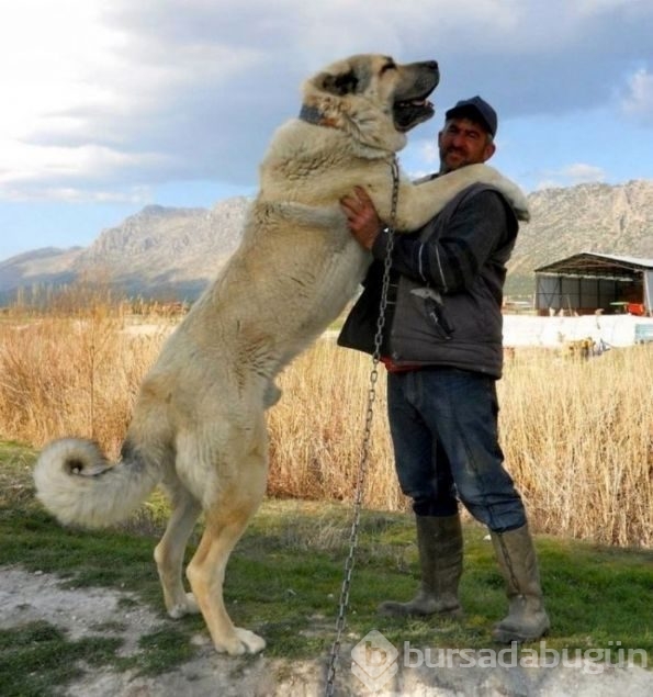 Günün en çok paylaşılan fotoğrafları