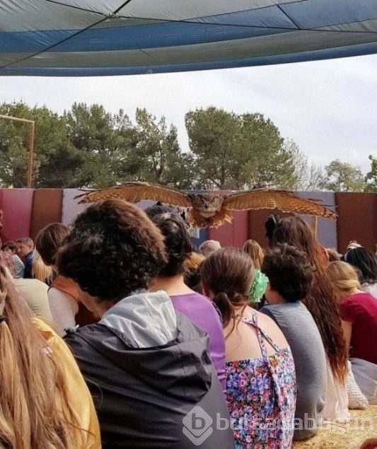 Günün en çok paylaşılan fotoğrafları