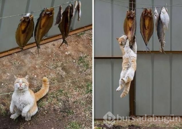 Günün en çok paylaşılan fotoğrafları