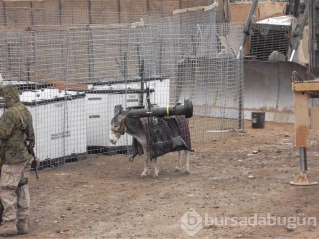Günün en çok paylaşılan fotoğrafları