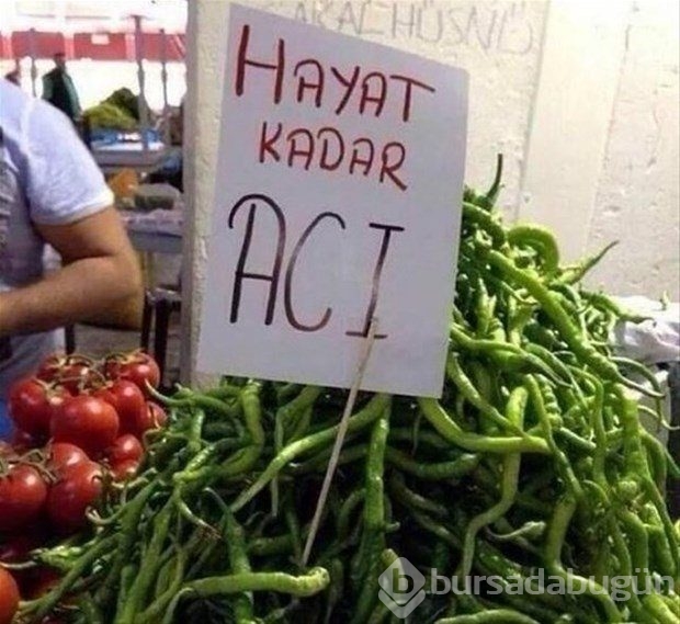 Sosyal medyanın efsane fotoğrafları