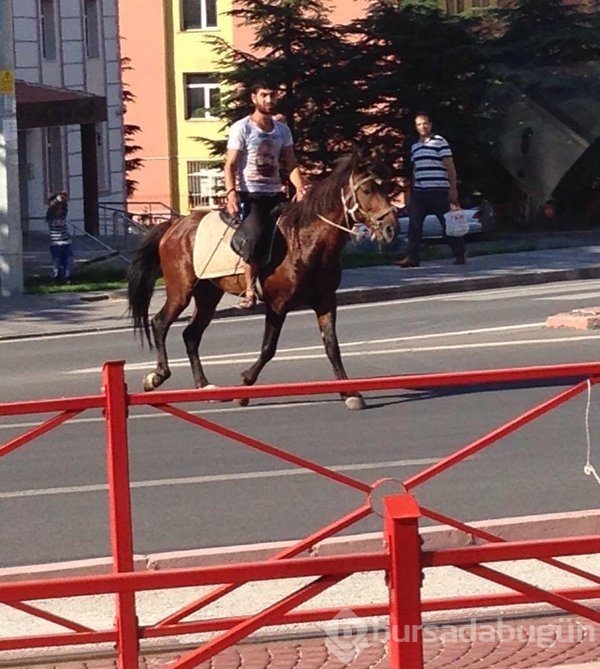 Sosyal medyanın efsane fotoğrafları
